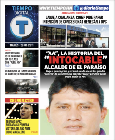 Enero 29 2019