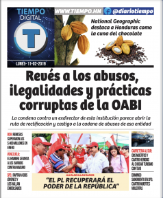 Febrero 11 2019